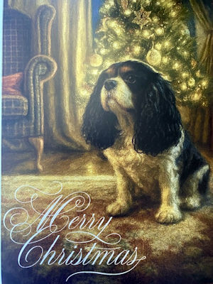 Prince - Christmas Card - 2025_12_19.jpg